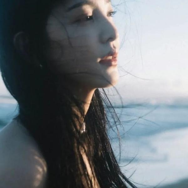 皮层
